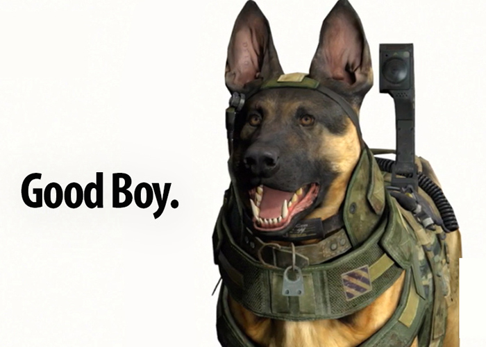 Call of Duty dog