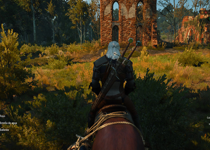 The Witcher 3 caballo