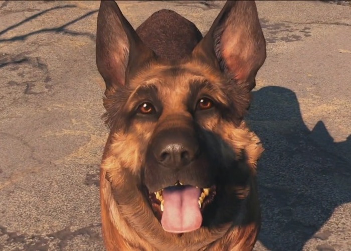 Dogmeat