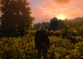 The Witcher 3 terrenos cultivo